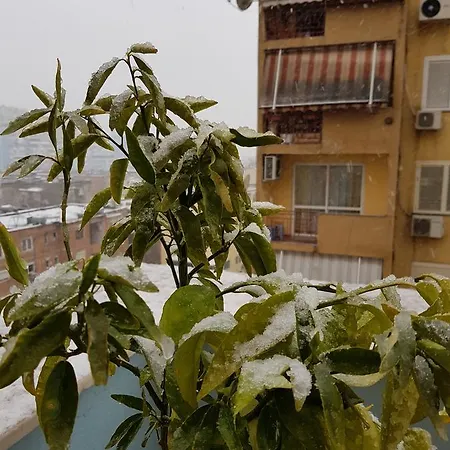 Tirana Rooms בית הארחה 4*